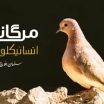 ماہر ماحولیات سلمان بلوچ کی مرتب کردہ پہلی بلوچی پرندوں کی کتاب مرغانی انسائیکلوپیڈیا